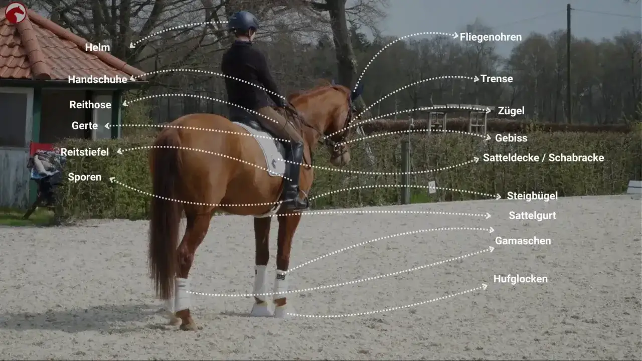 Ein Reiter lernt, die Ausr&uuml;stung seines Pferdes zu verstehen: Helm, Trense, Z&uuml;gel, Sattelgurt und mehr.