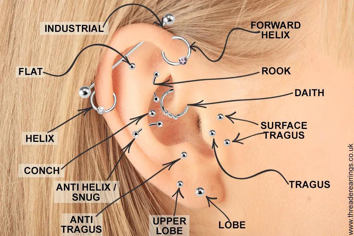 Ucho z licznymi kolczykami: industrial, helix, rook, daith, tragus i inne. Kolczyk w środku ucha, zwany rook, jest ozdobiony cyrkoniami.