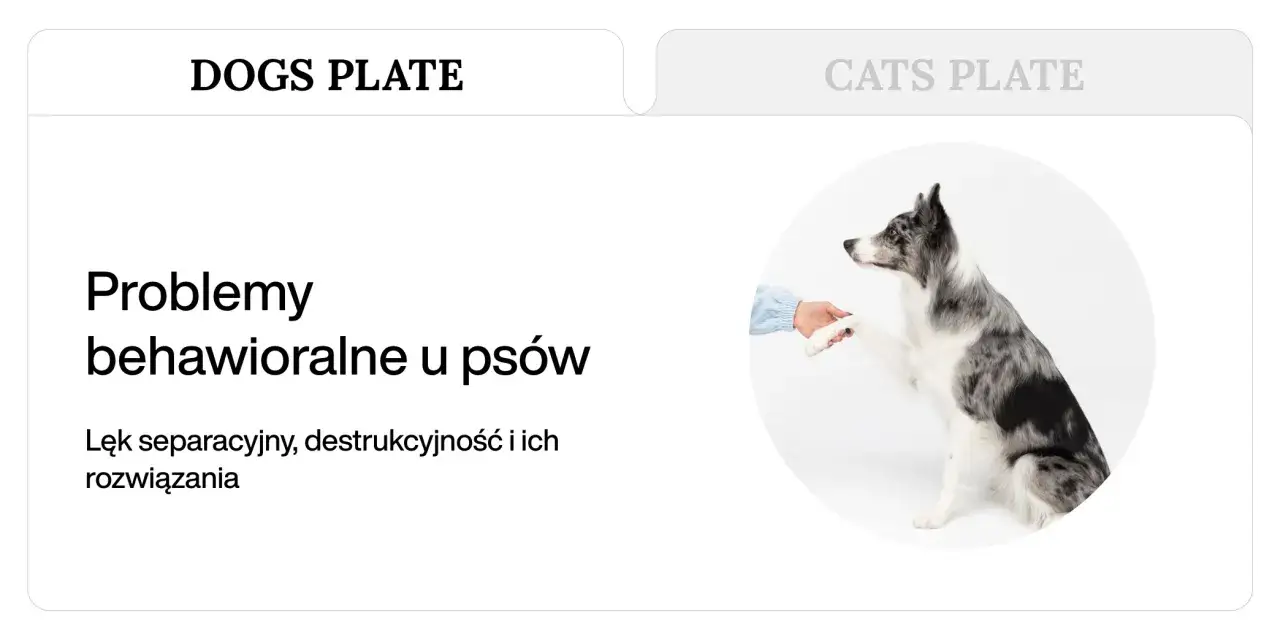 Pies podaje łapę, symbolizując problemy behawioralne, w tym lęk separacyjny u psa objawy.