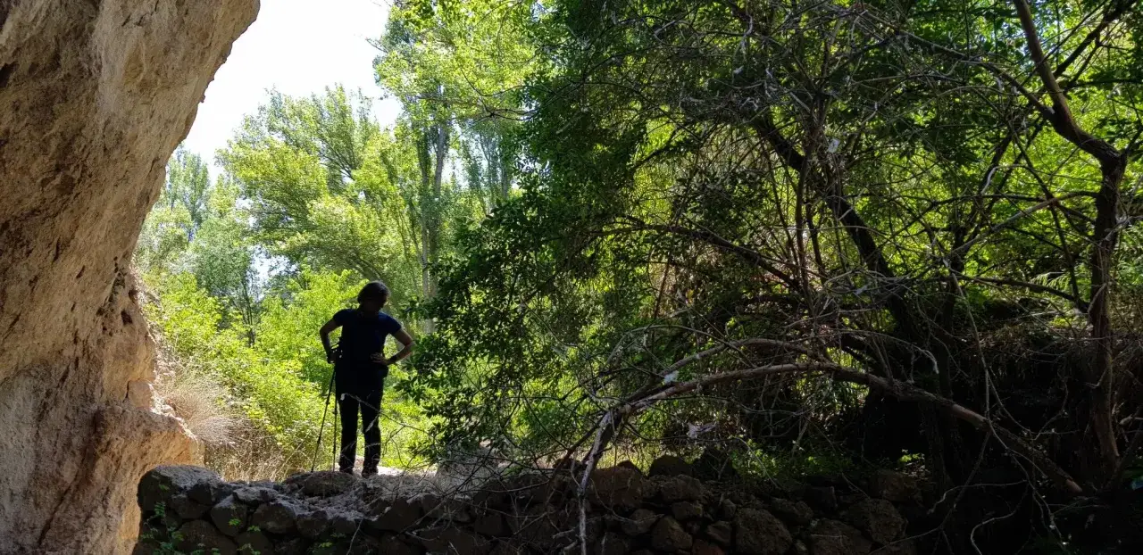 Persona con bastones de senderismo, disfrutando de las rutas por Sigüenza, rodeada de vegetación exuberante y rocas.