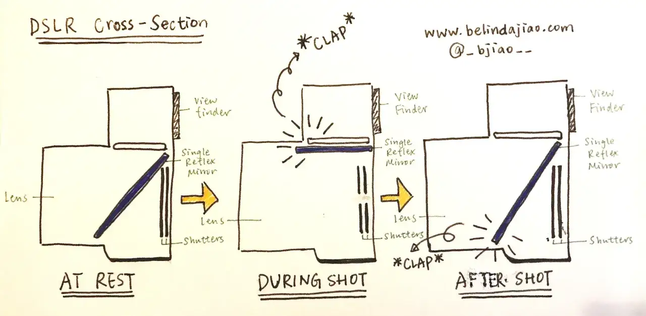 Schemat DSLR: 