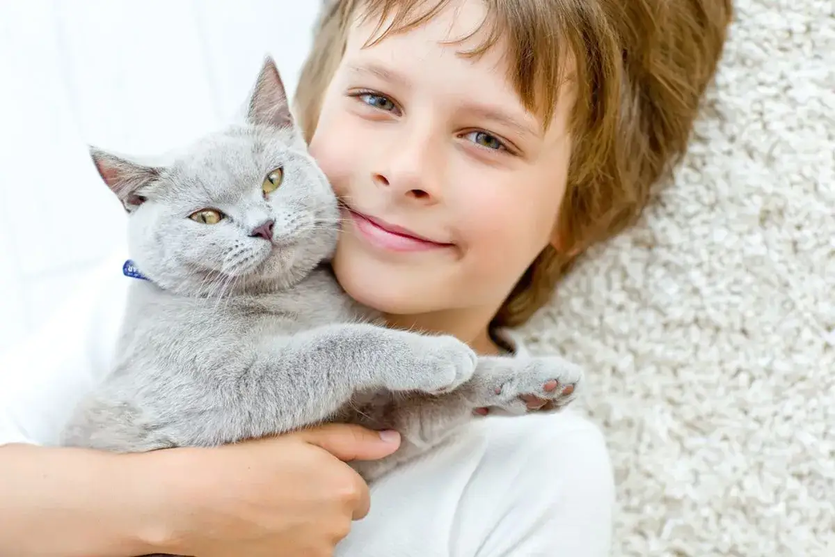 Uśmiechnięty chłopiec tuli do siebie puszystego, szarego kota. To idealny kot dla dzieci, który uwielbia pieszczoty i zabawę.