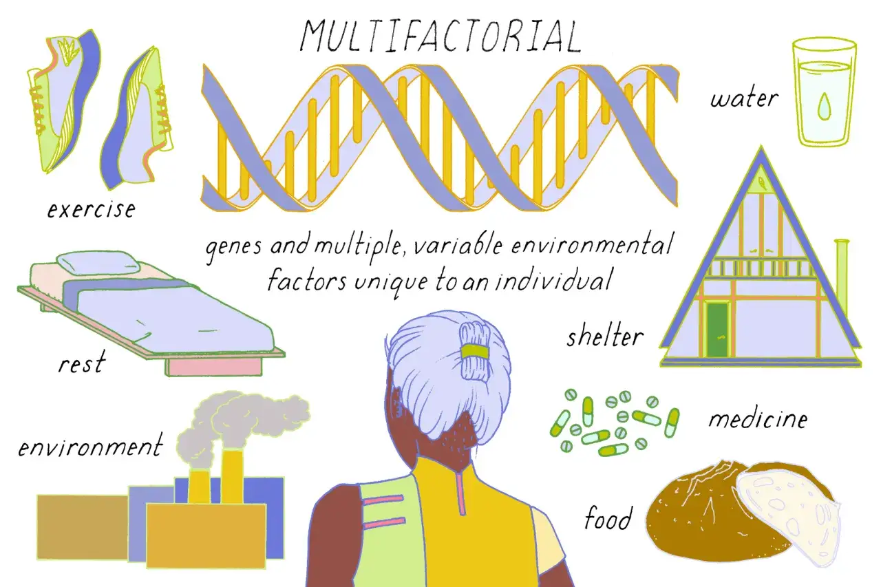 Die Grafik zeigt, wie Gene und Umweltfaktoren den individuellen **Phänotyp** beeinflussen. Dargestellt sind DNA, Sport, Ruhe, Umweltverschmutzung, Wasser, Unterkunft, Medizin und Nahrung.