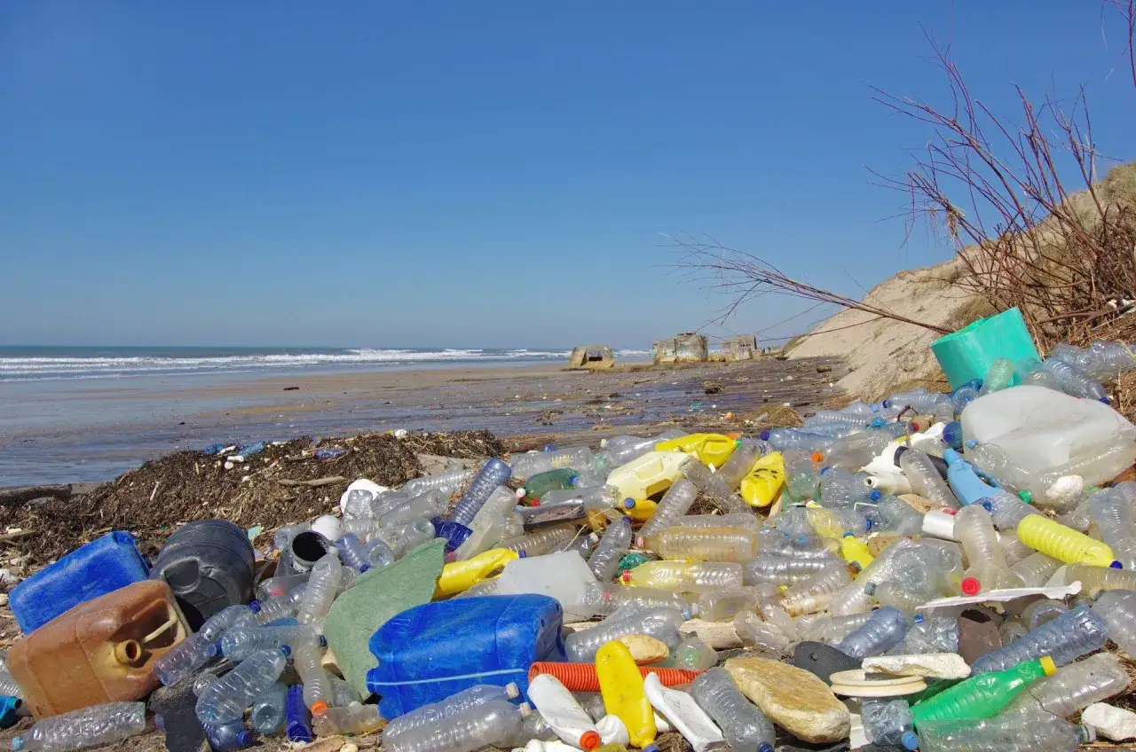Plaża zasypana plastikiem. Czy Morze Czarne jest czyste? Widać tu mnóstwo butelek i innych odpadów.
