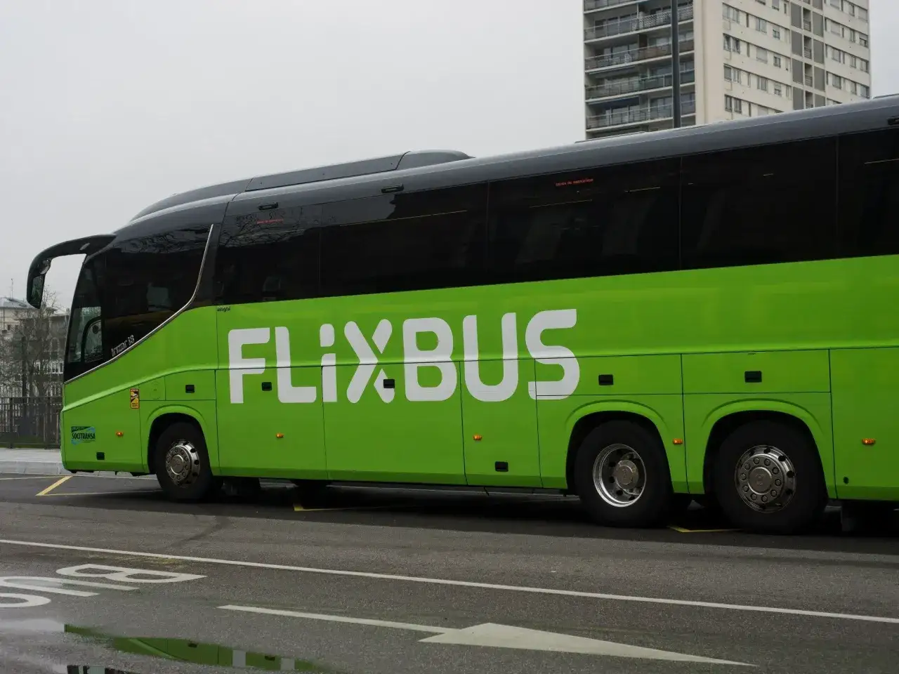 Zielony autokar Flixbus z białym logo. Idealny na podróże i flixbus promocje.