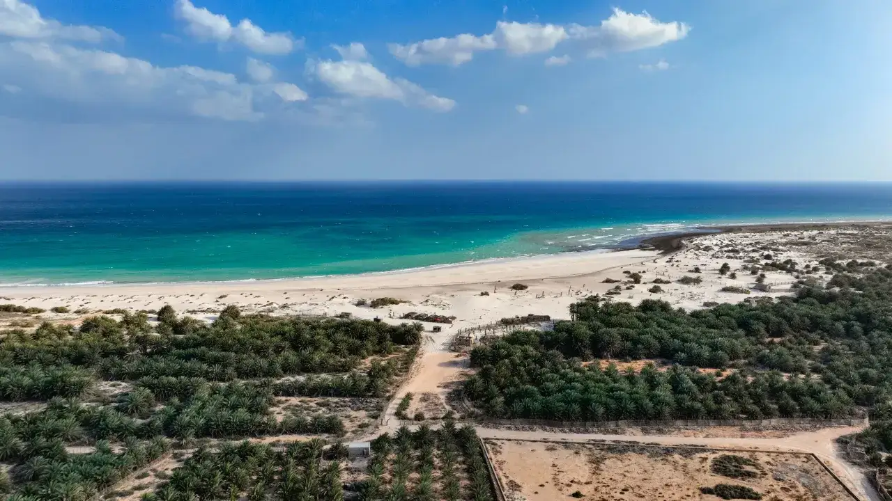 Djerba plaże: turkusowe morze, biały piasek i gaje palmowe tworzą rajski krajobraz.