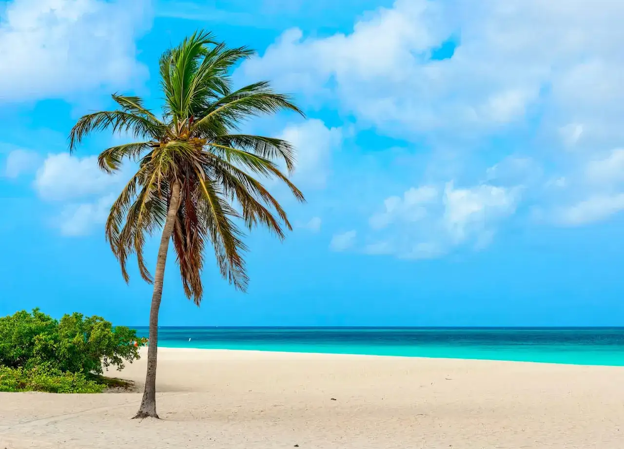 Traumhafter Strand auf Aruba mit Palmen und türkisblauem Meer. Perfekt für die **Aruba beste Reisezeit**!