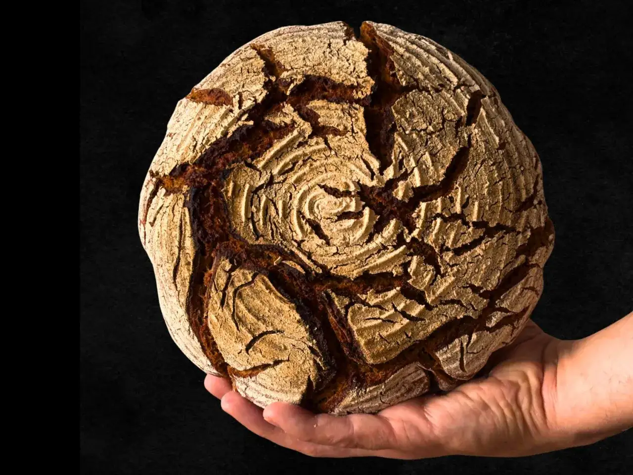 Ein rustikales Brot mit knuspriger Kruste, gehalten in einer Hand. Ein kleiner Spalt im Backofen beim Backen sorgt für diese perfekte Kruste.