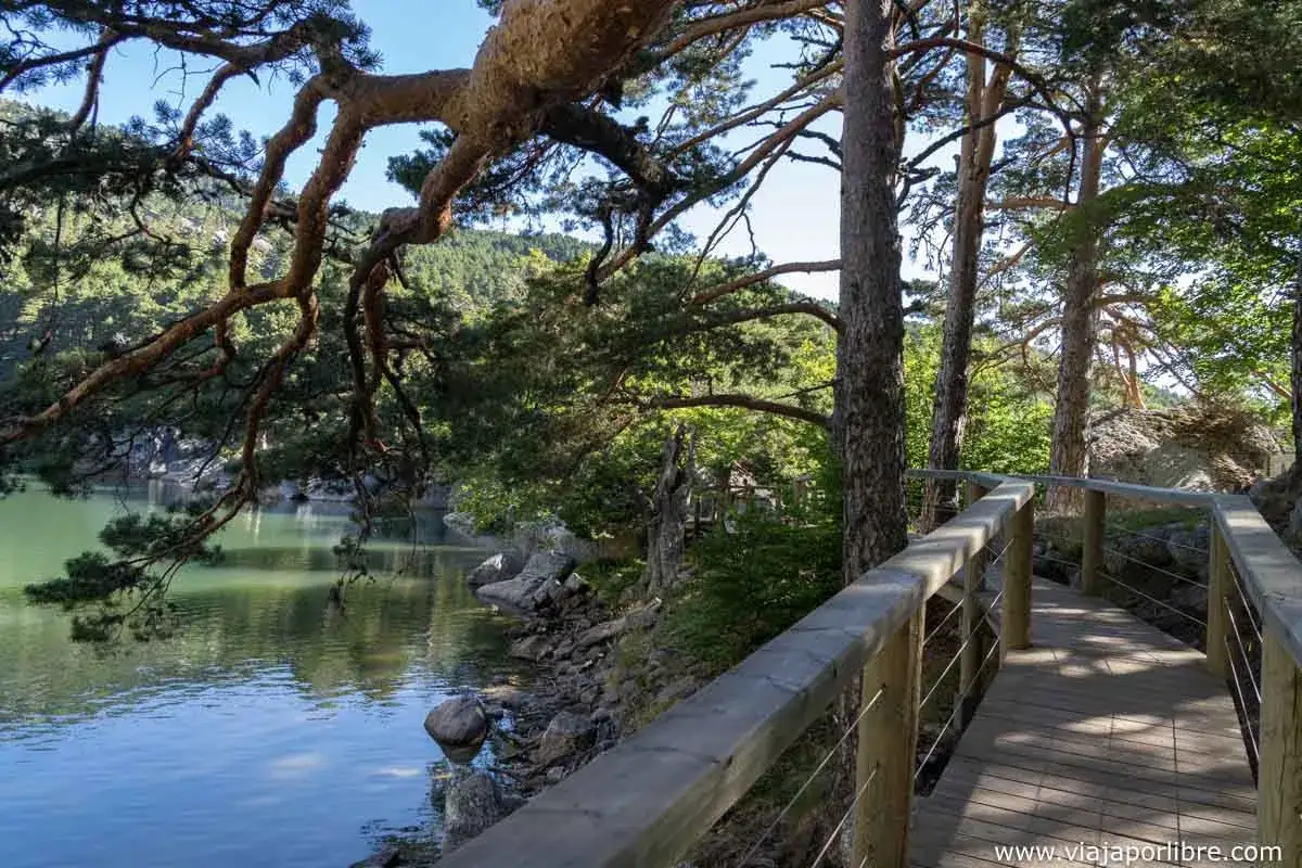 Un sendero de madera bordea la laguna negra, rodeada de pinos. Imagina a niños explorando este paisaje sereno.