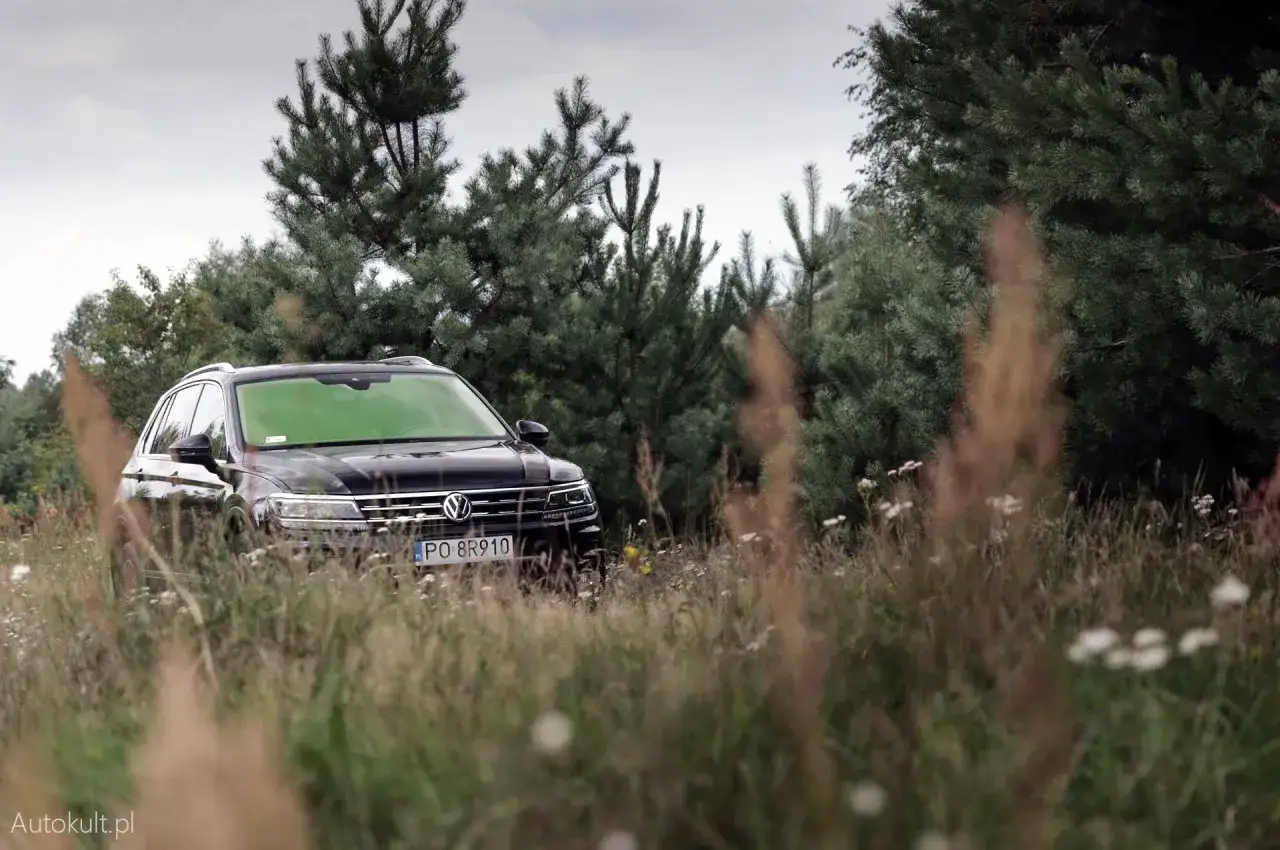 Czarny Volkswagen Tiguan 2 wjeżdża na polną drogę, otoczony wysoką trawą i sosnami.