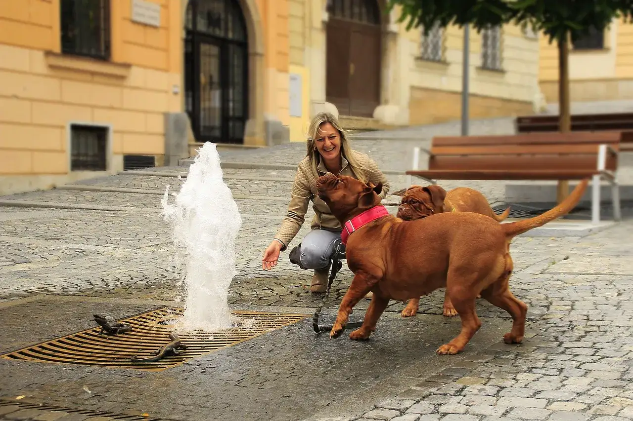 Frau spielt mit zwei Hunden an einem Brunnen in Berlin.