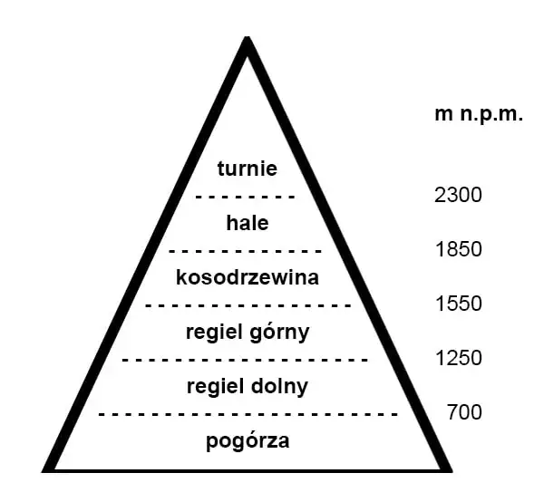 Piętra roślinności w Tatrach - regiel kosodrzewina hale turnie