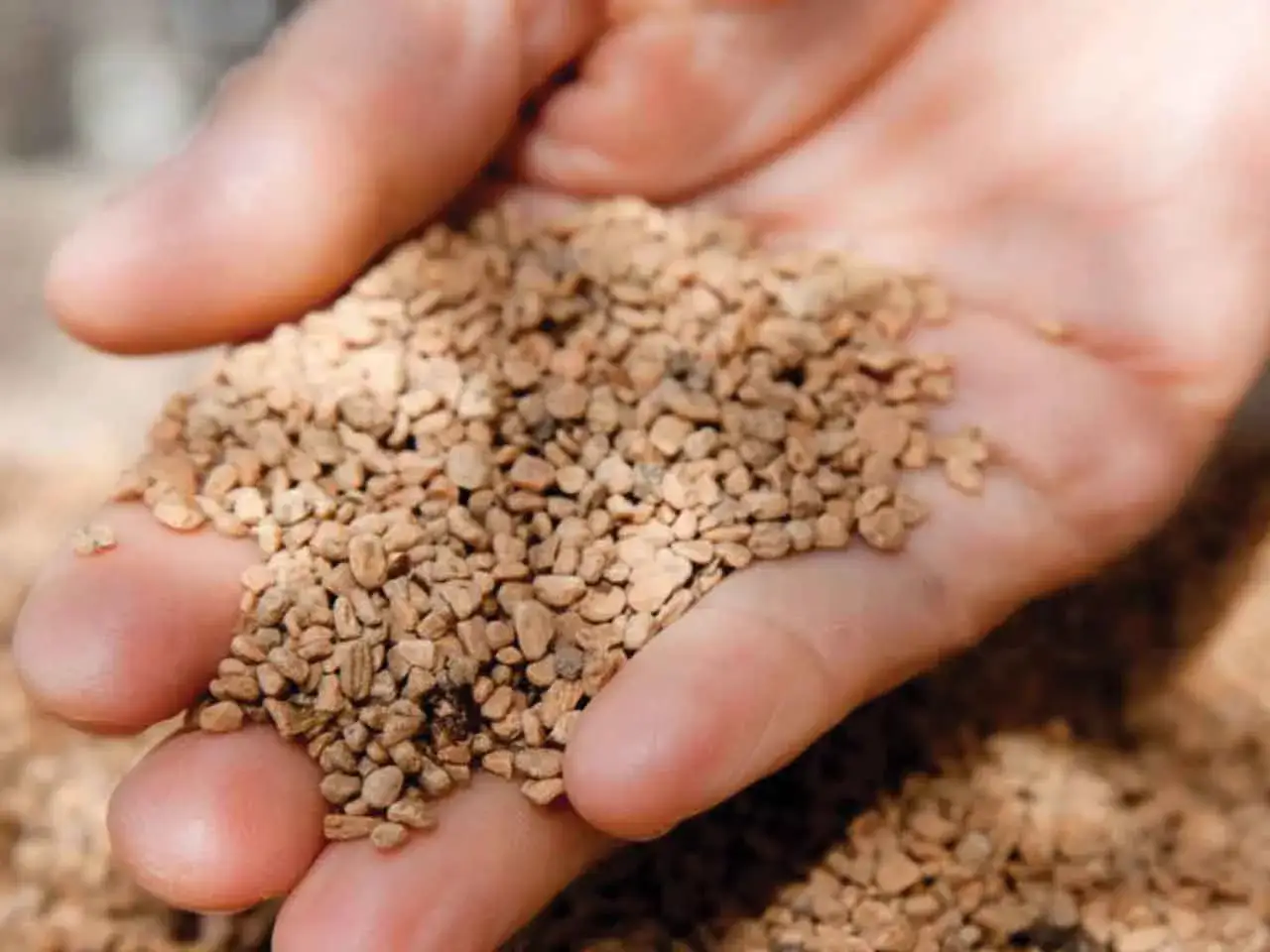 Mano che tiene nocciolino pellet, piccoli granuli naturali pronti per essere utilizzati.