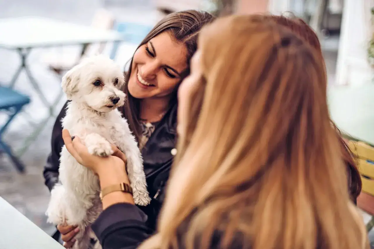 Dos amigas sonr&iacute;en mientras una sostiene un peque&ntilde;o perro blanco, un ejemplo de como socializar a un perro.