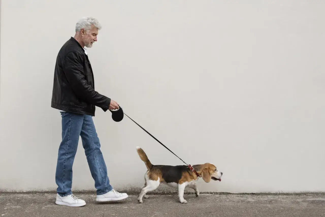 Pies na smyczy, opiekun zmienia kierunek widząc mężczyznę