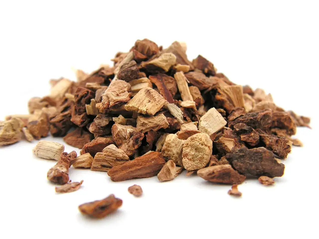 Sarsaparilla roślina i jej korzeń