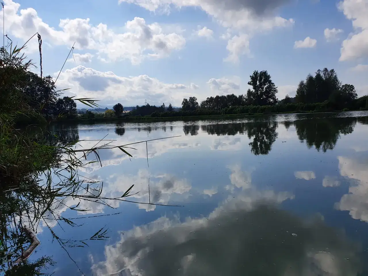 Spokojne łowisko Zawodzie. Lasy odbijają się w tafli wody, a chmury wiszą na błękitnym niebie. Idealne miejsce na relaks.
