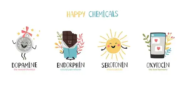 hormony zakochania infografika dopamina serotonina oksytocyna