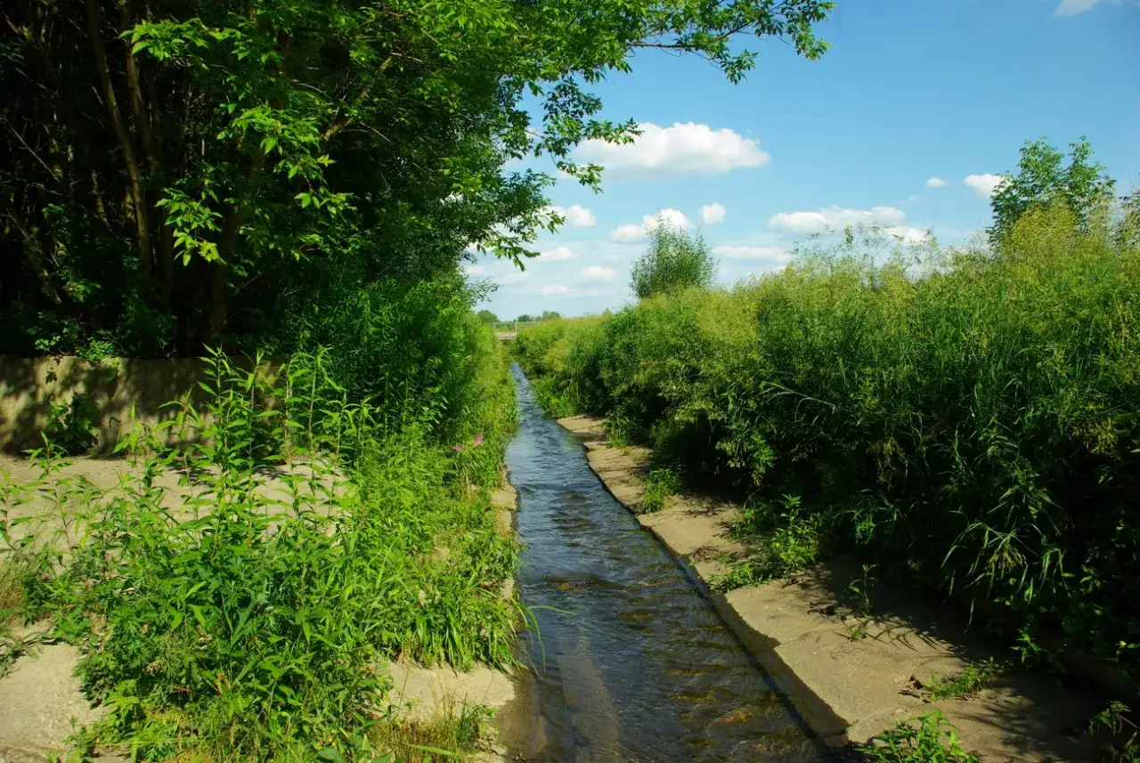 Wąski kanał z wodą, otoczony bujną zielenią. Wyobraź sobie, że płyniesz tu łodzią, podziwiając naturę.