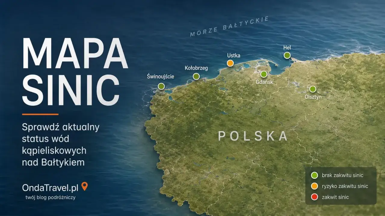 Mapa sinic na Bałtyku. Sprawdź, gdzie jest najcieplejsza woda i uniknij zakwitu.
