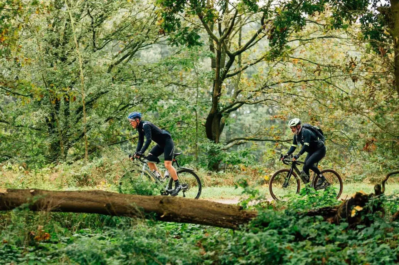 Zwei Radfahrer auf einem Waldweg, die eine Runde im orbit 360 drehen. Ein umgestürzter Baum liegt im Vordergrund.