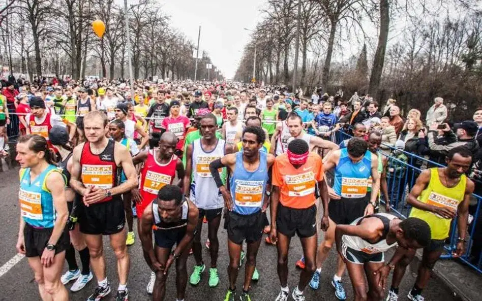 biegacze na starcie maratonu w Polsce