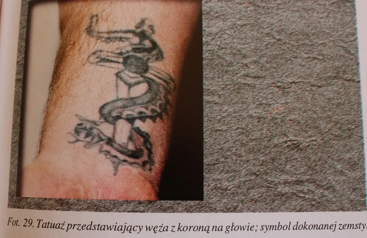 Tatuaże więzienne kropki: wąż z koroną na głowie, symbol zemsty.