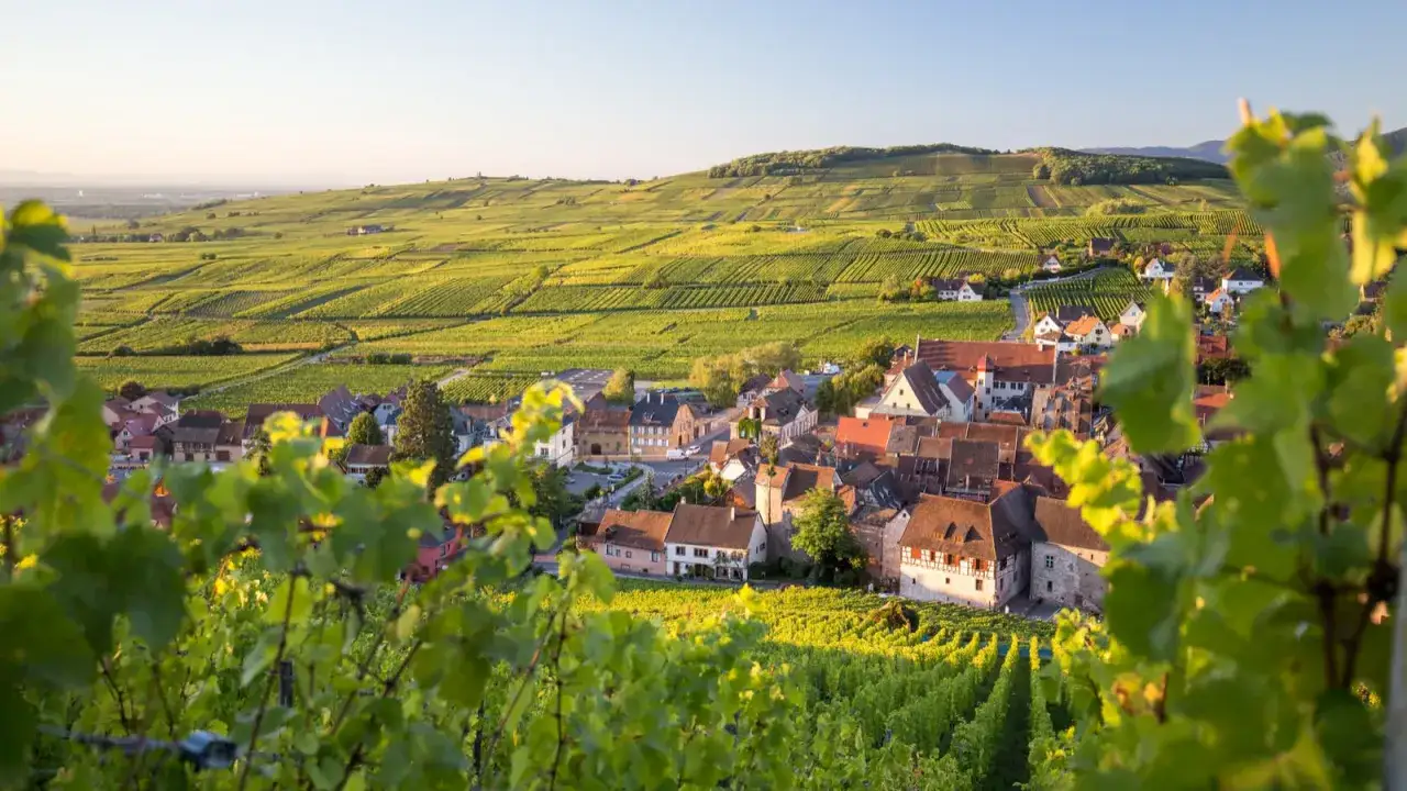 Village pittoresque niché au cœur des vignobles verdoyants de la route des vins en France, baigné par la douce lumière du soleil couchant.