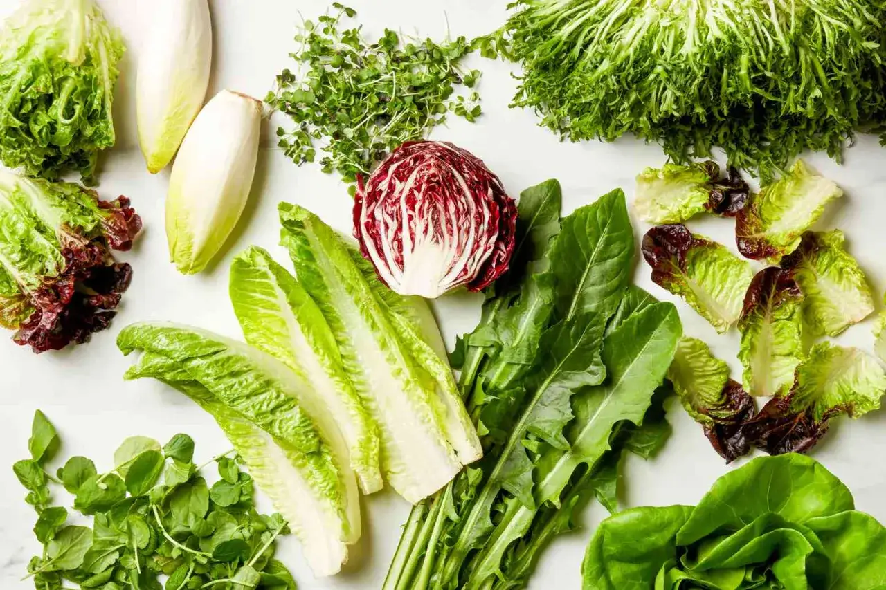 Różnorodne sałaty: rzymska, radicchio, endywia, rukola i inne. Odkryj ich zdrowotne sałata właściwości i ciesz się świeżością.