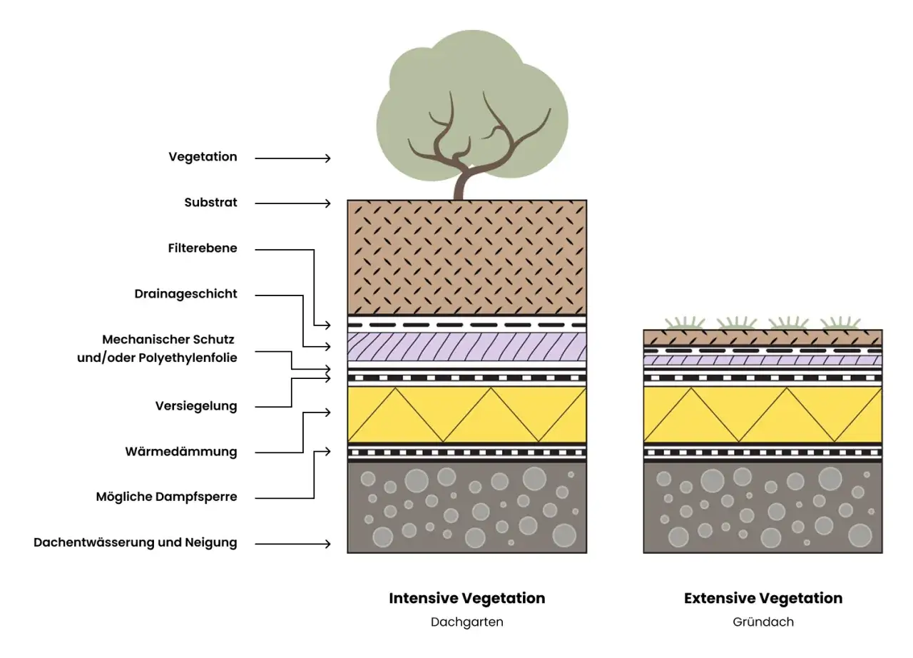 Schema zeigt Schichten eines bewachsenen Dachs: Substrat, Filter, Drainage, Schutz, Versiegelung, D&auml;mmung. Links intensive, rechts extensive Begr&uuml;nung.