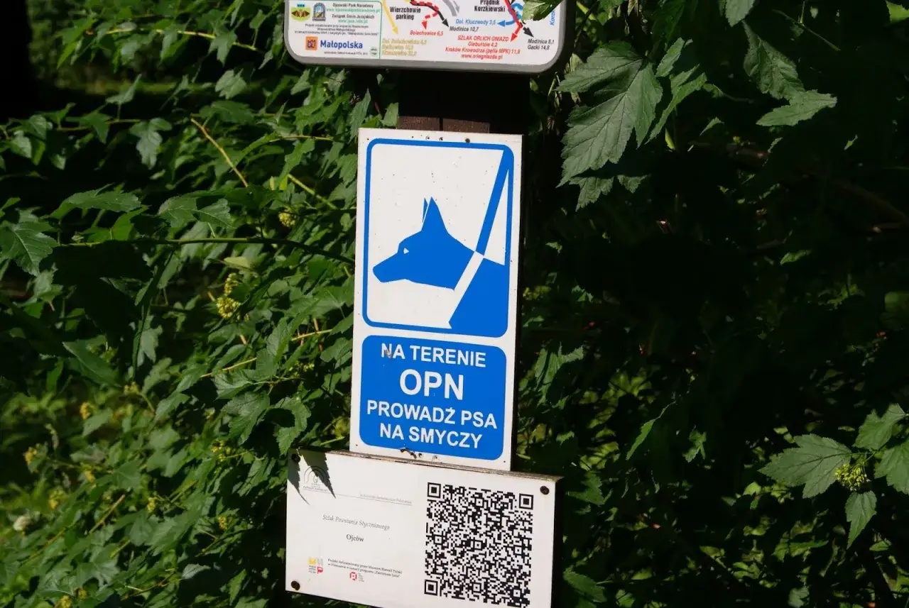 Na terenie Ojcowski Park Narodowy z psem na smyczy.