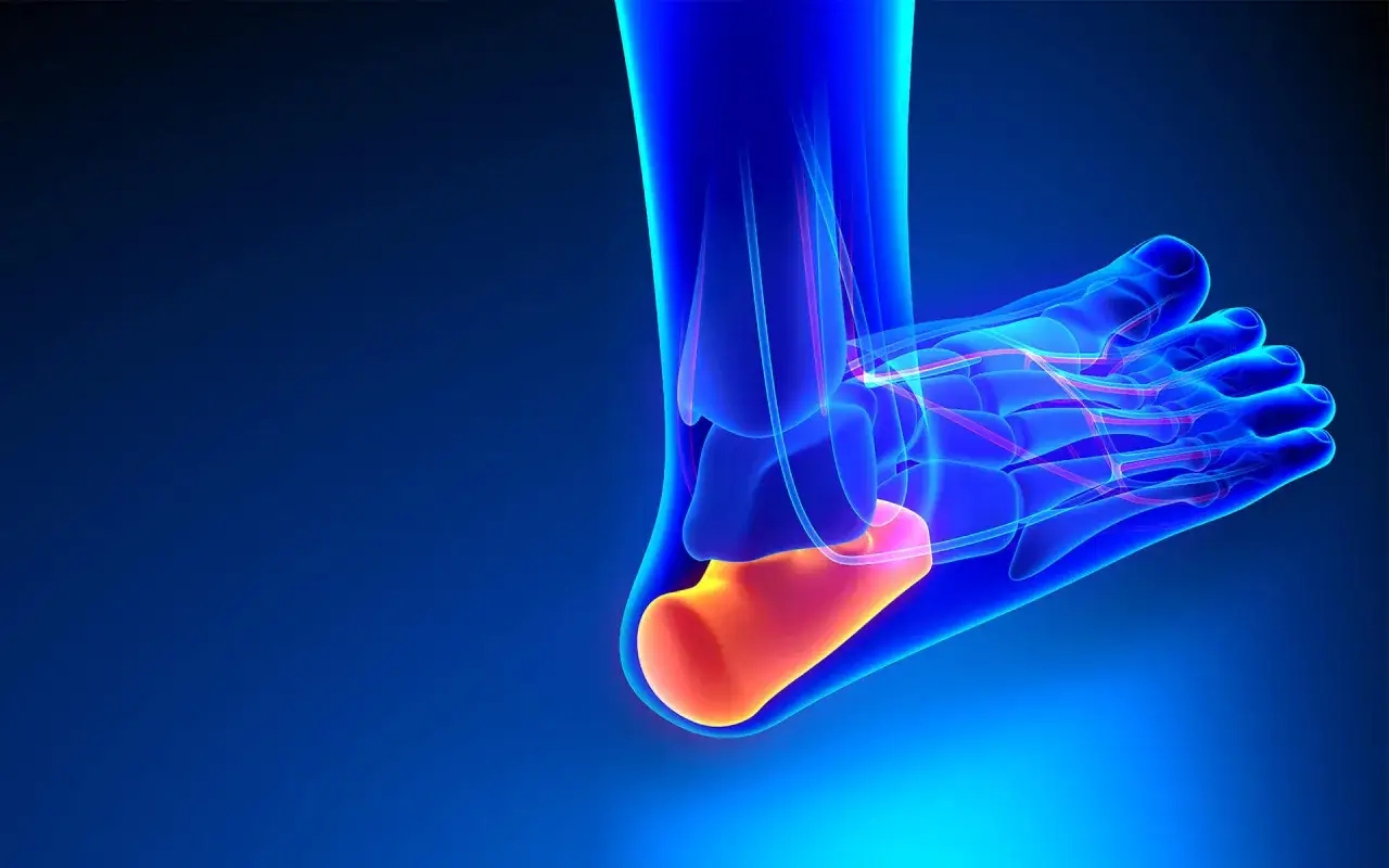 Blå illustration av en fot med markerad plantar fascia, som kan orsaka ont i senan under foten.