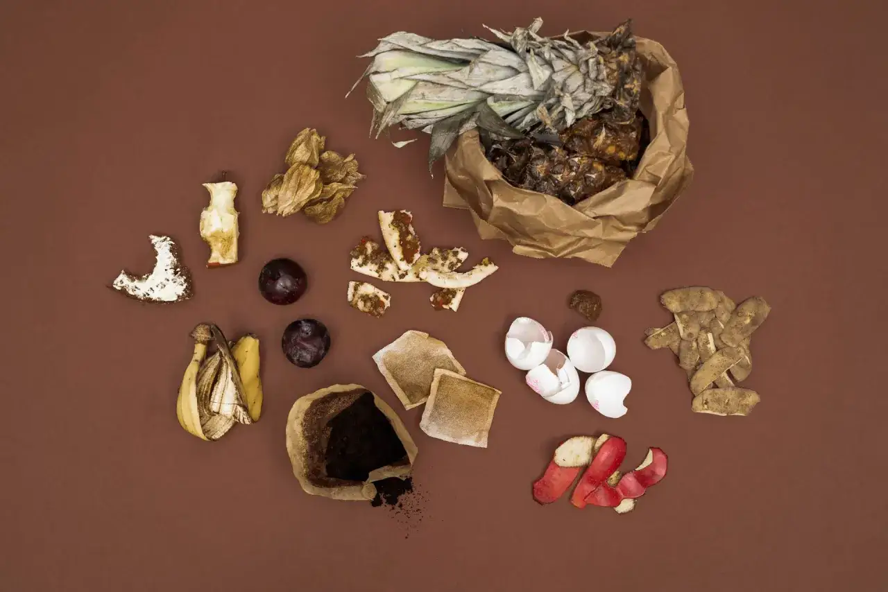 En samling organiskt avfall: bananskal, &auml;ppelskrutt, plommon, ananas, kaffesump, &auml;ggskal och potatisskal.