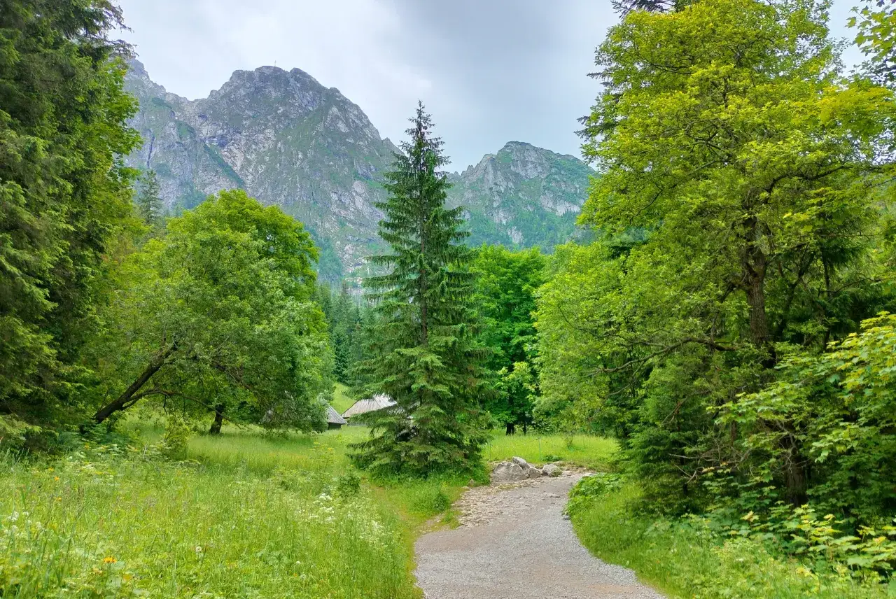 Tatry w maju szlaki doliny i regle