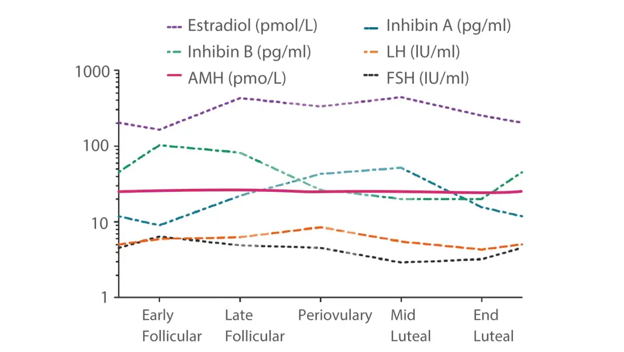Wykres pokazuje zmiany hormonów: estradiol, inhibiny A i B, AMH, LH i FSH w cyklu. AMH normy są stabilne.