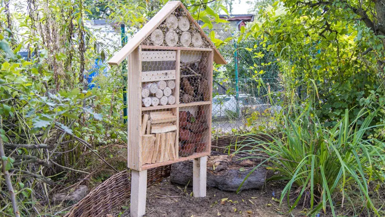 Ein **wildbienenhotel selber bauen** ist eine tolle Idee! Dieses Hotel bietet Unterschlupf mit Holz, Zapfen und Ton.