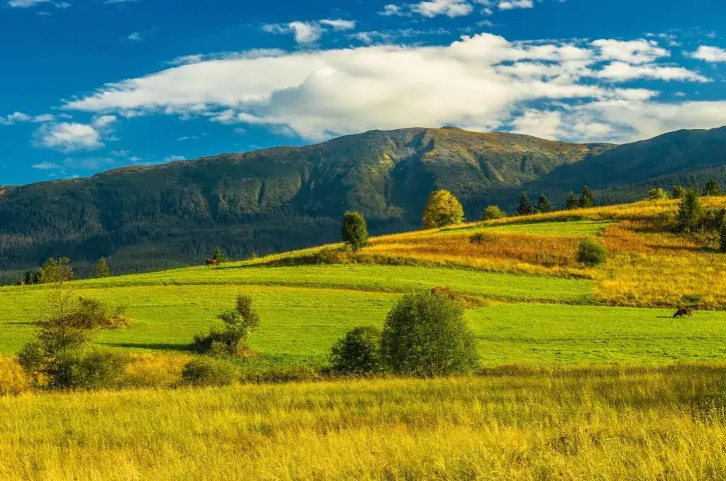 Babia Góra widok z Zawoi