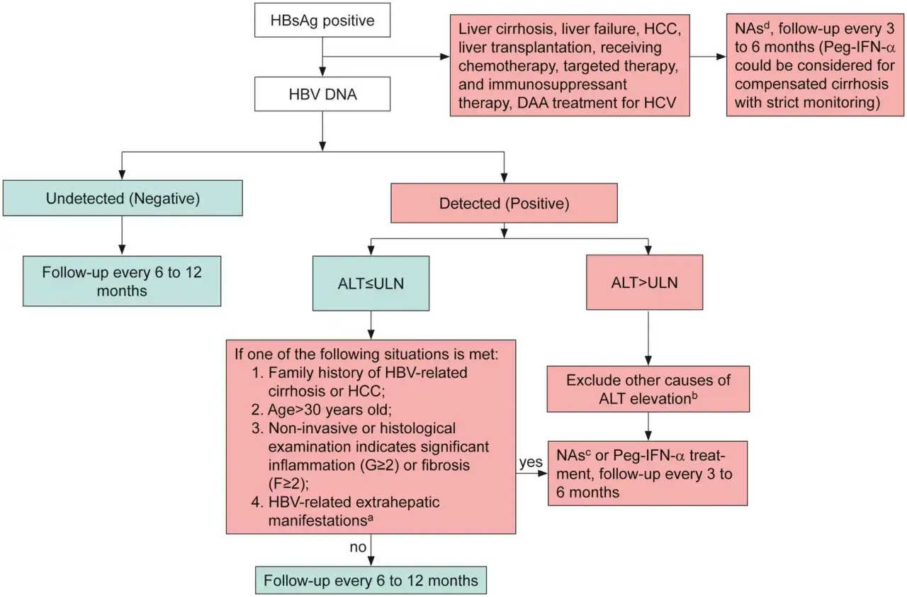 Schemat diagnostyczny HBV. Wzw B i długość życia: wykrycie wirusa, ALT, czynniki ryzyka, leczenie i kontrola.