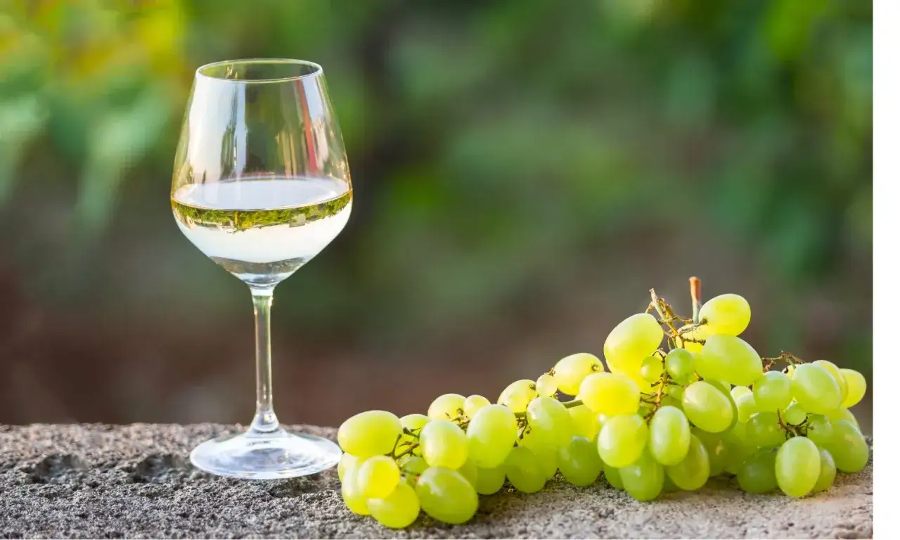 Ein Glas Weißwein neben einer Traube, die den Chenin Blanc Geschmack verspricht.