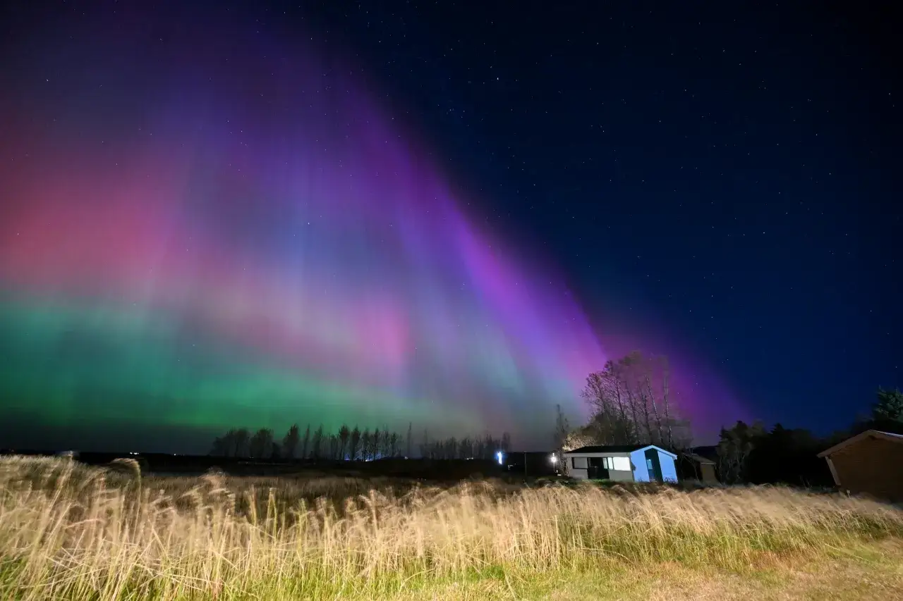 Niesamowita zorza polarna, kiedy zielone i fioletowe pasma tańczą na nocnym niebie nad polami i domkami.