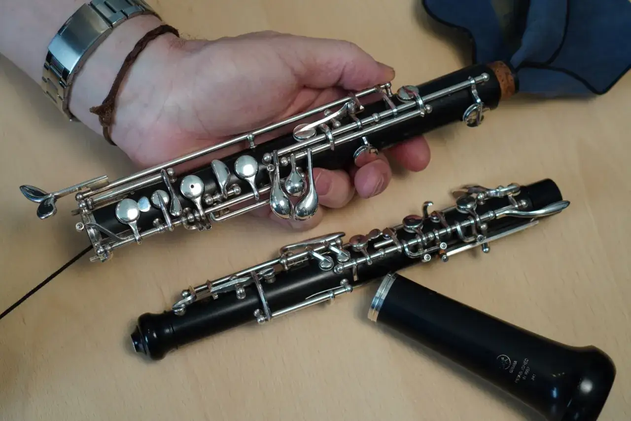 Zwei Oboen liegen auf einem Holztisch. Eine wird von einer Hand gehalten, bereit, das **Oboe lernen** zu beginnen.