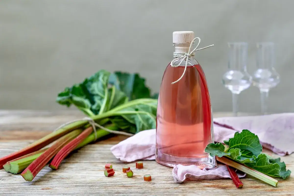 Rhabarberschnaps selber machen mit frischem Rhabarber: Ein Glas mit rosafarbenem Lik&ouml;r steht neben Rhabarberstangen und kleinen St&uuml;cken.