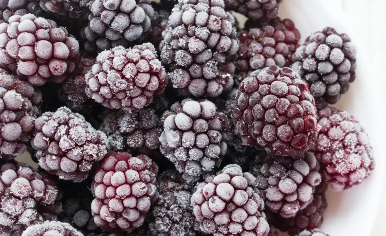Gefrorene Brombeeren, bereit zum Einfrieren und für später genießen.