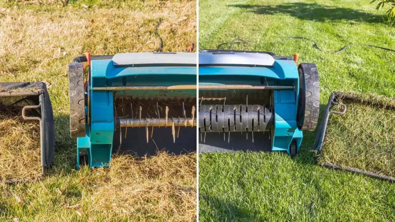 aeracja trawnika korzyści