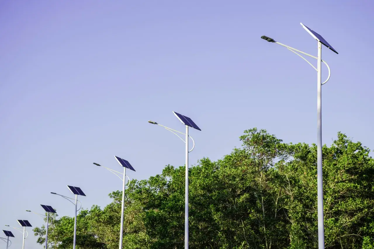 Rząd lamp na taras solarnych z panelami skierowanymi ku niebu, otoczony zielenią drzew.