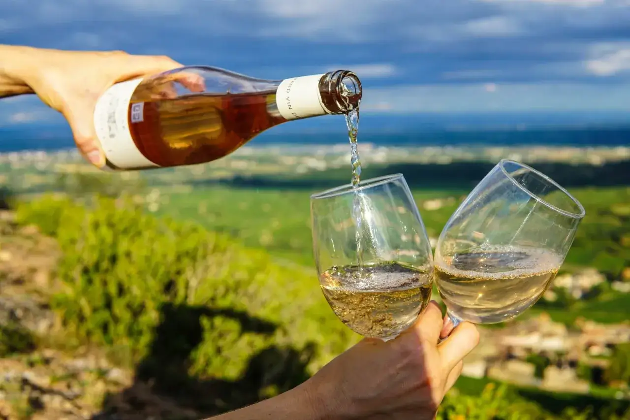 Un vin orange ambr&eacute;, le meilleur, est vers&eacute; dans deux verres avec un paysage verdoyant en arri&egrave;re-plan.