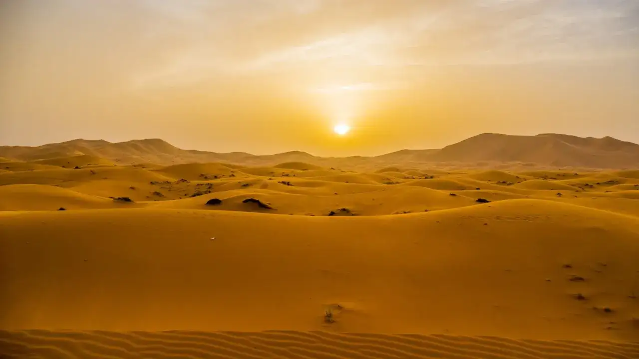 Soleil couchant sur la dune du Sahara, peignant les ondulations dorées d'une lumière chaude. Un paysage désertique infini.