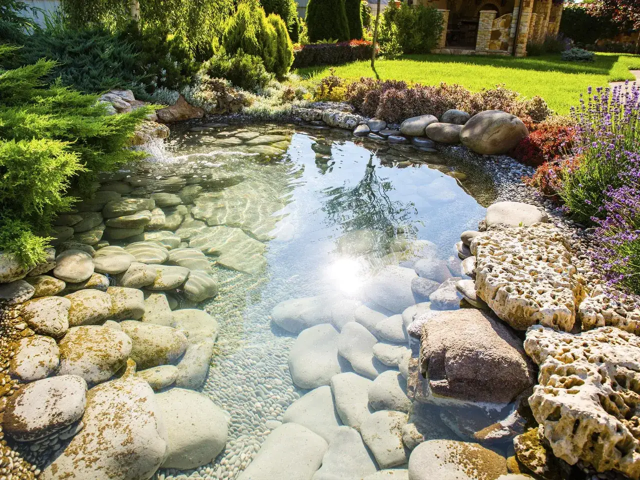 Un estanque jardín casero con cascada, rocas y plantas exuberantes. El agua cristalina refleja el sol y el verde del entorno.