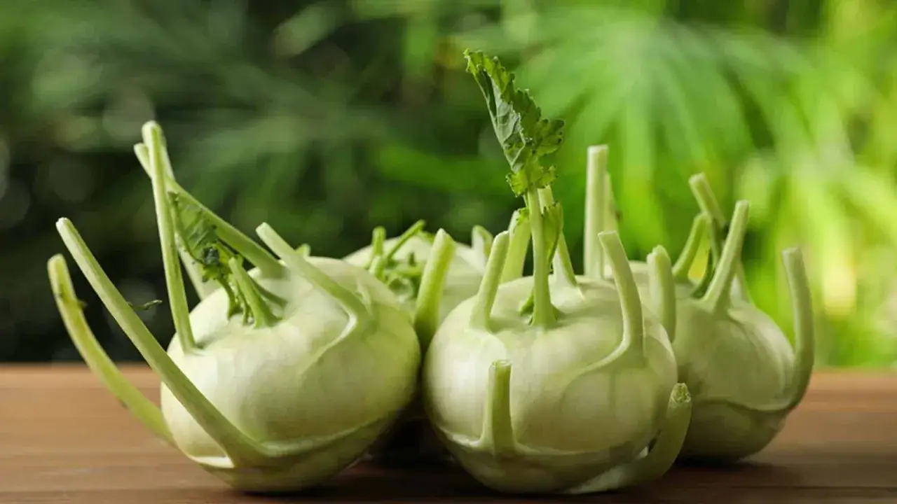 Mehrere kohlrabi baby-Knollen mit gr&uuml;nen Bl&auml;ttern auf einem Holztisch.