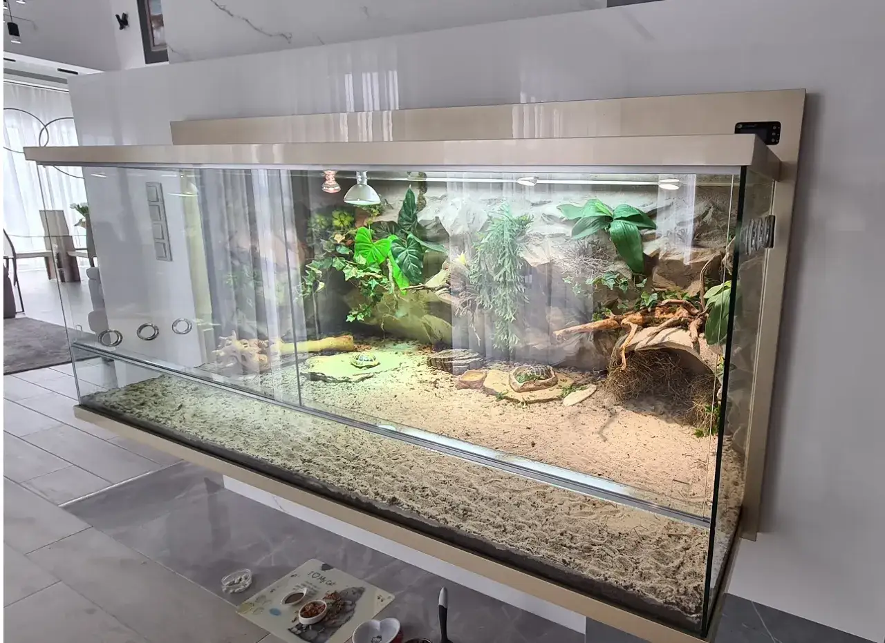 W przestronnym terrarium z piaskiem i roślinnością, dwa żółwie domowe eksplorują swój naturalny zakątek.